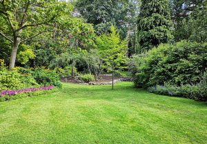 Optimiser l'expérience du jardin à Croisilles