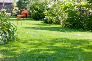 travaux jardin et paysage Croisilles